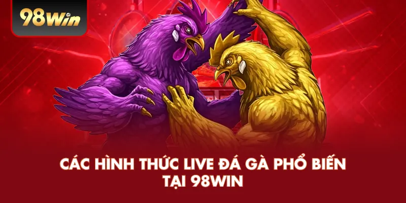 Các hình thức live đá gà phổ biến tại 98win