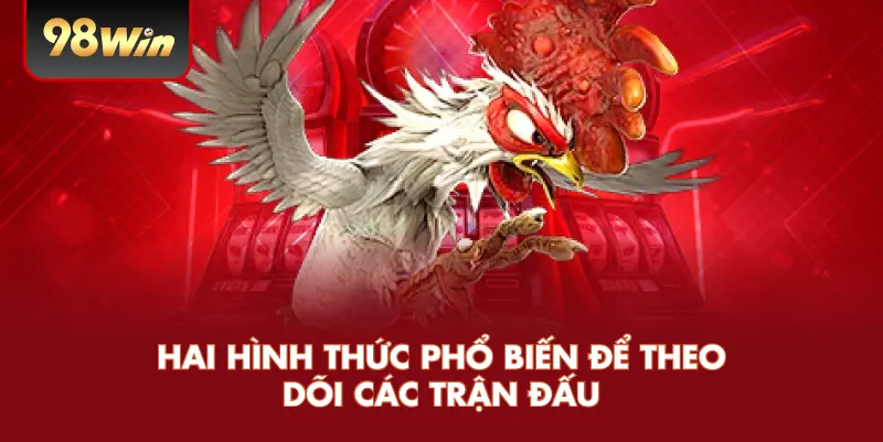 Hai hình thức phổ biến để theo dõi các trận đấu